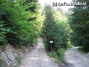 [P06] Cărare spre stânga ce duce la Horăicioara (pe drumul din dreapta se lasă autoturismul).  » foto by tata123 🔱
 - 
<span class="allrVoted glyphicon glyphicon-heart hidden" id="av606548"></span>
<a class="m-l-10 hidden" id="sv606548" onclick="voting_Foto_DelVot(,606548,7948)" role="button">șterge vot <span class="glyphicon glyphicon-remove"></span></a>
<a id="v9606548" class=" c-red"  onclick="voting_Foto_SetVot(606548)" role="button"><span class="glyphicon glyphicon-heart-empty"></span> <b>LIKE</b> = Votează poza</a> <img class="hidden"  id="f606548W9" src="/imagini/loader.gif" border="0" /><span class="AjErrMes hidden" id="e606548ErM"></span>