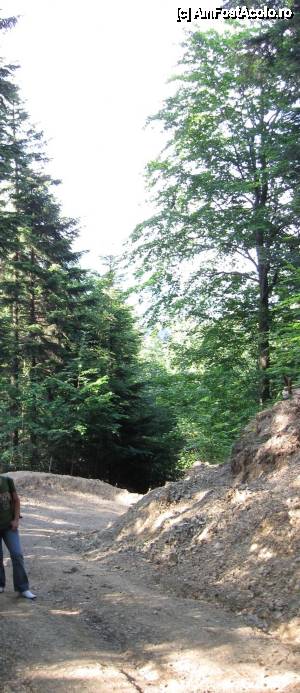 [P07] Urcăm spre mănăstire.  » foto by tata123 🔱
 - 
<span class="allrVoted glyphicon glyphicon-heart hidden" id="av606549"></span>
<a class="m-l-10 hidden" id="sv606549" onclick="voting_Foto_DelVot(,606549,7948)" role="button">șterge vot <span class="glyphicon glyphicon-remove"></span></a>
<a id="v9606549" class=" c-red"  onclick="voting_Foto_SetVot(606549)" role="button"><span class="glyphicon glyphicon-heart-empty"></span> <b>LIKE</b> = Votează poza</a> <img class="hidden"  id="f606549W9" src="/imagini/loader.gif" border="0" /><span class="AjErrMes hidden" id="e606549ErM"></span>