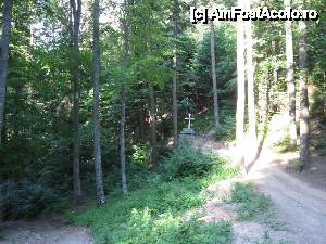 [P08] Loc de popas pe drumul spre Mănăstirea Horăicioara.  » foto by tata123 🔱
 - 
<span class="allrVoted glyphicon glyphicon-heart hidden" id="av606550"></span>
<a class="m-l-10 hidden" id="sv606550" onclick="voting_Foto_DelVot(,606550,7948)" role="button">șterge vot <span class="glyphicon glyphicon-remove"></span></a>
<a id="v9606550" class=" c-red"  onclick="voting_Foto_SetVot(606550)" role="button"><span class="glyphicon glyphicon-heart-empty"></span> <b>LIKE</b> = Votează poza</a> <img class="hidden"  id="f606550W9" src="/imagini/loader.gif" border="0" /><span class="AjErrMes hidden" id="e606550ErM"></span>