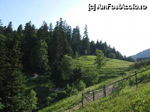 [P09] Poiana Mănăstirii Horăicioara.  » foto by tata123 🔱
 - 
<span class="allrVoted glyphicon glyphicon-heart hidden" id="av606551"></span>
<a class="m-l-10 hidden" id="sv606551" onclick="voting_Foto_DelVot(,606551,7948)" role="button">șterge vot <span class="glyphicon glyphicon-remove"></span></a>
<a id="v9606551" class=" c-red"  onclick="voting_Foto_SetVot(606551)" role="button"><span class="glyphicon glyphicon-heart-empty"></span> <b>LIKE</b> = Votează poza</a> <img class="hidden"  id="f606551W9" src="/imagini/loader.gif" border="0" /><span class="AjErrMes hidden" id="e606551ErM"></span>