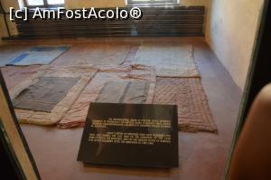 [P11] Pe așa ceva dormeau înghesuiți.  » foto by ariciu*
 - 
<span class="allrVoted glyphicon glyphicon-heart hidden" id="av784508"></span>
<a class="m-l-10 hidden" id="sv784508" onclick="voting_Foto_DelVot(,784508,7968)" role="button">șterge vot <span class="glyphicon glyphicon-remove"></span></a>
<a id="v9784508" class=" c-red"  onclick="voting_Foto_SetVot(784508)" role="button"><span class="glyphicon glyphicon-heart-empty"></span> <b>LIKE</b> = Votează poza</a> <img class="hidden"  id="f784508W9" src="/imagini/loader.gif" border="0" /><span class="AjErrMes hidden" id="e784508ErM"></span>