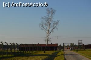 [P32] Un mesteacăn printre barăci.  » foto by ariciu*
 - 
<span class="allrVoted glyphicon glyphicon-heart hidden" id="av784536"></span>
<a class="m-l-10 hidden" id="sv784536" onclick="voting_Foto_DelVot(,784536,7968)" role="button">șterge vot <span class="glyphicon glyphicon-remove"></span></a>
<a id="v9784536" class=" c-red"  onclick="voting_Foto_SetVot(784536)" role="button"><span class="glyphicon glyphicon-heart-empty"></span> <b>LIKE</b> = Votează poza</a> <img class="hidden"  id="f784536W9" src="/imagini/loader.gif" border="0" /><span class="AjErrMes hidden" id="e784536ErM"></span>