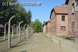 [P04] Barăcile de la Auschwitz I și gardul de sârmă ghimpată.  » foto by ariciu*
 - 
<span class="allrVoted glyphicon glyphicon-heart hidden" id="av784501"></span>
<a class="m-l-10 hidden" id="sv784501" onclick="voting_Foto_DelVot(,784501,7968)" role="button">șterge vot <span class="glyphicon glyphicon-remove"></span></a>
<a id="v9784501" class=" c-red"  onclick="voting_Foto_SetVot(784501)" role="button"><span class="glyphicon glyphicon-heart-empty"></span> <b>LIKE</b> = Votează poza</a> <img class="hidden"  id="f784501W9" src="/imagini/loader.gif" border="0" /><span class="AjErrMes hidden" id="e784501ErM"></span>
