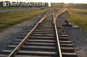 [P40] Șinele de tren strălucesc la finalul zilei. Locul devine pustiu și apăsător. Plecăm...  » foto by ariciu*
 - 
<span class="allrVoted glyphicon glyphicon-heart hidden" id="av784554"></span>
<a class="m-l-10 hidden" id="sv784554" onclick="voting_Foto_DelVot(,784554,7968)" role="button">șterge vot <span class="glyphicon glyphicon-remove"></span></a>
<a id="v9784554" class=" c-red"  onclick="voting_Foto_SetVot(784554)" role="button"><span class="glyphicon glyphicon-heart-empty"></span> <b>LIKE</b> = Votează poza</a> <img class="hidden"  id="f784554W9" src="/imagini/loader.gif" border="0" /><span class="AjErrMes hidden" id="e784554ErM"></span>