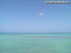 [P37] ce credeti? este adevarat? poza e cat se poate de clara » foto by barbu minel
 - 
<span class="allrVoted glyphicon glyphicon-heart hidden" id="av339662"></span>
<a class="m-l-10 hidden" id="sv339662" onclick="voting_Foto_DelVot(,339662,7983)" role="button">șterge vot <span class="glyphicon glyphicon-remove"></span></a>
<a id="v9339662" class=" c-red"  onclick="voting_Foto_SetVot(339662)" role="button"><span class="glyphicon glyphicon-heart-empty"></span> <b>LIKE</b> = Votează poza</a> <img class="hidden"  id="f339662W9" src="/imagini/loader.gif" border="0" /><span class="AjErrMes hidden" id="e339662ErM"></span>