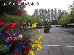 [P40] Catedrala St Mungo din Glasgow - aleea plină cu decorațiuni florale de la intrare.  » foto by Aurici
 - 
<span class="allrVoted glyphicon glyphicon-heart hidden" id="av938860"></span>
<a class="m-l-10 hidden" id="sv938860" onclick="voting_Foto_DelVot(,938860,7991)" role="button">șterge vot <span class="glyphicon glyphicon-remove"></span></a>
<a id="v9938860" class=" c-red"  onclick="voting_Foto_SetVot(938860)" role="button"><span class="glyphicon glyphicon-heart-empty"></span> <b>LIKE</b> = Votează poza</a> <img class="hidden"  id="f938860W9" src="/imagini/loader.gif" border="0" /><span class="AjErrMes hidden" id="e938860ErM"></span>