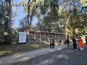 [P10] Ofrandele de vin » foto by DOINITA
 - 
<span class="allrVoted glyphicon glyphicon-heart hidden" id="av1476022"></span>
<a class="m-l-10 hidden" id="sv1476022" onclick="voting_Foto_DelVot(,1476022,7999)" role="button">șterge vot <span class="glyphicon glyphicon-remove"></span></a>
<a id="v91476022" class=" c-red"  onclick="voting_Foto_SetVot(1476022)" role="button"><span class="glyphicon glyphicon-heart-empty"></span> <b>LIKE</b> = Votează poza</a> <img class="hidden"  id="f1476022W9" src="/imagini/loader.gif" border="0" /><span class="AjErrMes hidden" id="e1476022ErM"></span>