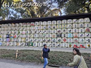 [P11] Ofrandele de sake » foto by DOINITA
 - 
<span class="allrVoted glyphicon glyphicon-heart hidden" id="av1476023"></span>
<a class="m-l-10 hidden" id="sv1476023" onclick="voting_Foto_DelVot(,1476023,7999)" role="button">șterge vot <span class="glyphicon glyphicon-remove"></span></a>
<a id="v91476023" class=" c-red"  onclick="voting_Foto_SetVot(1476023)" role="button"><span class="glyphicon glyphicon-heart-empty"></span> <b>LIKE</b> = Votează poza</a> <img class="hidden"  id="f1476023W9" src="/imagini/loader.gif" border="0" /><span class="AjErrMes hidden" id="e1476023ErM"></span>