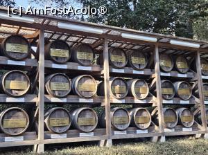 [P12] Or fi pline? » foto by DOINITA
 - 
<span class="allrVoted glyphicon glyphicon-heart hidden" id="av1476024"></span>
<a class="m-l-10 hidden" id="sv1476024" onclick="voting_Foto_DelVot(,1476024,7999)" role="button">șterge vot <span class="glyphicon glyphicon-remove"></span></a>
<a id="v91476024" class=" c-red"  onclick="voting_Foto_SetVot(1476024)" role="button"><span class="glyphicon glyphicon-heart-empty"></span> <b>LIKE</b> = Votează poza</a> <img class="hidden"  id="f1476024W9" src="/imagini/loader.gif" border="0" /><span class="AjErrMes hidden" id="e1476024ErM"></span>