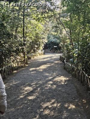 [P20] La pas prin grădinile din apropiere » foto by DOINITA
 - 
<span class="allrVoted glyphicon glyphicon-heart hidden" id="av1476032"></span>
<a class="m-l-10 hidden" id="sv1476032" onclick="voting_Foto_DelVot(,1476032,7999)" role="button">șterge vot <span class="glyphicon glyphicon-remove"></span></a>
<a id="v91476032" class=" c-red"  onclick="voting_Foto_SetVot(1476032)" role="button"><span class="glyphicon glyphicon-heart-empty"></span> <b>LIKE</b> = Votează poza</a> <img class="hidden"  id="f1476032W9" src="/imagini/loader.gif" border="0" /><span class="AjErrMes hidden" id="e1476032ErM"></span>