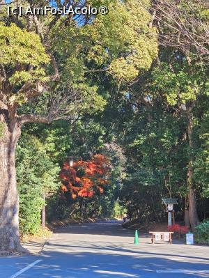 [P05] Drumul spre sanctuarul shintoist » foto by DOINITA
 - 
<span class="allrVoted glyphicon glyphicon-heart hidden" id="av1476017"></span>
<a class="m-l-10 hidden" id="sv1476017" onclick="voting_Foto_DelVot(,1476017,7999)" role="button">șterge vot <span class="glyphicon glyphicon-remove"></span></a>
<a id="v91476017" class=" c-red"  onclick="voting_Foto_SetVot(1476017)" role="button"><span class="glyphicon glyphicon-heart-empty"></span> <b>LIKE</b> = Votează poza</a> <img class="hidden"  id="f1476017W9" src="/imagini/loader.gif" border="0" /><span class="AjErrMes hidden" id="e1476017ErM"></span>