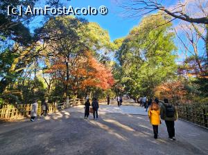 [P08] Iarna în Tokyo » foto by DOINITA
 - 
<span class="allrVoted glyphicon glyphicon-heart hidden" id="av1476020"></span>
<a class="m-l-10 hidden" id="sv1476020" onclick="voting_Foto_DelVot(,1476020,7999)" role="button">șterge vot <span class="glyphicon glyphicon-remove"></span></a>
<a id="v91476020" class=" c-red"  onclick="voting_Foto_SetVot(1476020)" role="button"><span class="glyphicon glyphicon-heart-empty"></span> <b>LIKE</b> = Votează poza</a> <img class="hidden"  id="f1476020W9" src="/imagini/loader.gif" border="0" /><span class="AjErrMes hidden" id="e1476020ErM"></span>