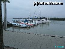[P06] debarcaderul lacului Neusiedler See » foto by dannek
 - 
<span class="allrVoted glyphicon glyphicon-heart hidden" id="av163282"></span>
<a class="m-l-10 hidden" id="sv163282" onclick="voting_Foto_DelVot(,163282,8006)" role="button">șterge vot <span class="glyphicon glyphicon-remove"></span></a>
<a id="v9163282" class=" c-red"  onclick="voting_Foto_SetVot(163282)" role="button"><span class="glyphicon glyphicon-heart-empty"></span> <b>LIKE</b> = Votează poza</a> <img class="hidden"  id="f163282W9" src="/imagini/loader.gif" border="0" /><span class="AjErrMes hidden" id="e163282ErM"></span>