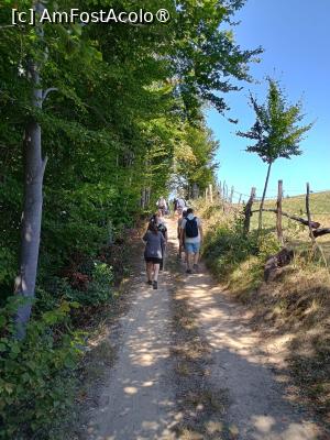 [P04] Ce bine că este umbră! » foto by Radix7
 - 
<span class="allrVoted glyphicon glyphicon-heart hidden" id="av1496968"></span>
<a class="m-l-10 hidden" id="sv1496968" onclick="voting_Foto_DelVot(,1496968,8046)" role="button">șterge vot <span class="glyphicon glyphicon-remove"></span></a>
<a id="v91496968" class=" c-red"  onclick="voting_Foto_SetVot(1496968)" role="button"><span class="glyphicon glyphicon-heart-empty"></span> <b>LIKE</b> = Votează poza</a> <img class="hidden"  id="f1496968W9" src="/imagini/loader.gif" border="0" /><span class="AjErrMes hidden" id="e1496968ErM"></span>