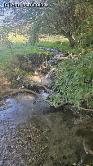 [P09] Pârâul Pănicel. » foto by Radix7
 - 
<span class="allrVoted glyphicon glyphicon-heart hidden" id="av1496973"></span>
<a class="m-l-10 hidden" id="sv1496973" onclick="voting_Foto_DelVot(,1496973,8046)" role="button">șterge vot <span class="glyphicon glyphicon-remove"></span></a>
<a id="v91496973" class=" c-red"  onclick="voting_Foto_SetVot(1496973)" role="button"><span class="glyphicon glyphicon-heart-empty"></span> <b>LIKE</b> = Votează poza</a> <img class="hidden"  id="f1496973W9" src="/imagini/loader.gif" border="0" /><span class="AjErrMes hidden" id="e1496973ErM"></span>