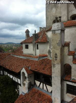 [P12] Hei, coşar, coşar!  » foto by Yersinia Pestis
 - 
<span class="allrVoted glyphicon glyphicon-heart hidden" id="av634508"></span>
<a class="m-l-10 hidden" id="sv634508" onclick="voting_Foto_DelVot(,634508,8046)" role="button">șterge vot <span class="glyphicon glyphicon-remove"></span></a>
<a id="v9634508" class=" c-red"  onclick="voting_Foto_SetVot(634508)" role="button"><span class="glyphicon glyphicon-heart-empty"></span> <b>LIKE</b> = Votează poza</a> <img class="hidden"  id="f634508W9" src="/imagini/loader.gif" border="0" /><span class="AjErrMes hidden" id="e634508ErM"></span>