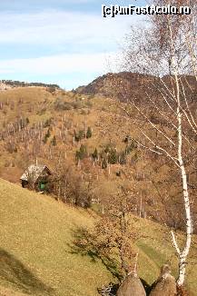 [P02] Casuta din padurea desfrunzita » foto by liviadavidescu
 - 
<span class="allrVoted glyphicon glyphicon-heart hidden" id="av165269"></span>
<a class="m-l-10 hidden" id="sv165269" onclick="voting_Foto_DelVot(,165269,8046)" role="button">șterge vot <span class="glyphicon glyphicon-remove"></span></a>
<a id="v9165269" class=" c-red"  onclick="voting_Foto_SetVot(165269)" role="button"><span class="glyphicon glyphicon-heart-empty"></span> <b>LIKE</b> = Votează poza</a> <img class="hidden"  id="f165269W9" src="/imagini/loader.gif" border="0" /><span class="AjErrMes hidden" id="e165269ErM"></span>