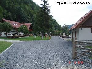 [P07] Drumul de acces la Cabana Plaiul Foii » foto by ANILU
 - 
<span class="allrVoted glyphicon glyphicon-heart hidden" id="av659196"></span>
<a class="m-l-10 hidden" id="sv659196" onclick="voting_Foto_DelVot(,659196,8046)" role="button">șterge vot <span class="glyphicon glyphicon-remove"></span></a>
<a id="v9659196" class=" c-red"  onclick="voting_Foto_SetVot(659196)" role="button"><span class="glyphicon glyphicon-heart-empty"></span> <b>LIKE</b> = Votează poza</a> <img class="hidden"  id="f659196W9" src="/imagini/loader.gif" border="0" /><span class="AjErrMes hidden" id="e659196ErM"></span>