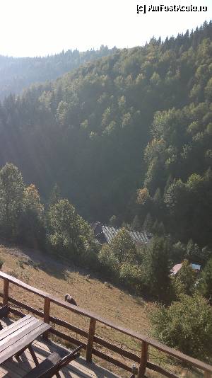 [P02]  -- <small>// FĂRĂ DESCRIERE</small> » foto by yuly68*
 - 
<span class="allrVoted glyphicon glyphicon-heart hidden" id="av383712"></span>
<a class="m-l-10 hidden" id="sv383712" onclick="voting_Foto_DelVot(,383712,8048)" role="button">șterge vot <span class="glyphicon glyphicon-remove"></span></a>
<a id="v9383712" class=" c-red"  onclick="voting_Foto_SetVot(383712)" role="button"><span class="glyphicon glyphicon-heart-empty"></span> <b>LIKE</b> = Votează poza</a> <img class="hidden"  id="f383712W9" src="/imagini/loader.gif" border="0" /><span class="AjErrMes hidden" id="e383712ErM"></span>