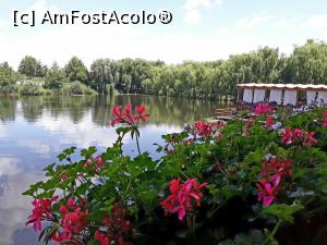 [P16] Taverna Marelui Paharnic Comana.Vederea spre lac face toti banii... » foto by Floria
 - 
<span class="allrVoted glyphicon glyphicon-heart hidden" id="av1189648"></span>
<a class="m-l-10 hidden" id="sv1189648" onclick="voting_Foto_DelVot(,1189648,8050)" role="button">șterge vot <span class="glyphicon glyphicon-remove"></span></a>
<a id="v91189648" class=" c-red"  onclick="voting_Foto_SetVot(1189648)" role="button"><span class="glyphicon glyphicon-heart-empty"></span> <b>LIKE</b> = Votează poza</a> <img class="hidden"  id="f1189648W9" src="/imagini/loader.gif" border="0" /><span class="AjErrMes hidden" id="e1189648ErM"></span>