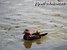 [P05]  -- <small>// FĂRĂ DESCRIERE</small> » foto by crissu
 - 
<span class="allrVoted glyphicon glyphicon-heart hidden" id="av165314"></span>
<a class="m-l-10 hidden" id="sv165314" onclick="voting_Foto_DelVot(,165314,8050)" role="button">șterge vot <span class="glyphicon glyphicon-remove"></span></a>
<a id="v9165314" class=" c-red"  onclick="voting_Foto_SetVot(165314)" role="button"><span class="glyphicon glyphicon-heart-empty"></span> <b>LIKE</b> = Votează poza</a> <img class="hidden"  id="f165314W9" src="/imagini/loader.gif" border="0" /><span class="AjErrMes hidden" id="e165314ErM"></span>