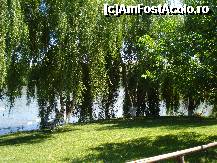 [P14] lacul » foto by adryana
 - 
<span class="allrVoted glyphicon glyphicon-heart hidden" id="av236591"></span>
<a class="m-l-10 hidden" id="sv236591" onclick="voting_Foto_DelVot(,236591,8050)" role="button">șterge vot <span class="glyphicon glyphicon-remove"></span></a>
<a id="v9236591" class=" c-red"  onclick="voting_Foto_SetVot(236591)" role="button"><span class="glyphicon glyphicon-heart-empty"></span> <b>LIKE</b> = Votează poza</a> <img class="hidden"  id="f236591W9" src="/imagini/loader.gif" border="0" /><span class="AjErrMes hidden" id="e236591ErM"></span>