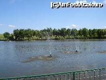 [P46] lacul vazut din restaurant » foto by adryana
 - 
<span class="allrVoted glyphicon glyphicon-heart hidden" id="av236643"></span>
<a class="m-l-10 hidden" id="sv236643" onclick="voting_Foto_DelVot(,236643,8050)" role="button">șterge vot <span class="glyphicon glyphicon-remove"></span></a>
<a id="v9236643" class=" c-red"  onclick="voting_Foto_SetVot(236643)" role="button"><span class="glyphicon glyphicon-heart-empty"></span> <b>LIKE</b> = Votează poza</a> <img class="hidden"  id="f236643W9" src="/imagini/loader.gif" border="0" /><span class="AjErrMes hidden" id="e236643ErM"></span>