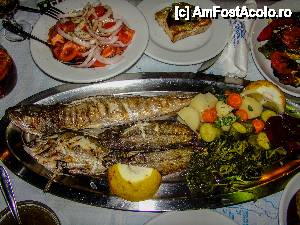 [P17] Platou de peste proaspat, Taverna Xouras Ligia » foto by Muffin2009*
 - 
<span class="allrVoted glyphicon glyphicon-heart hidden" id="av441256"></span>
<a class="m-l-10 hidden" id="sv441256" onclick="voting_Foto_DelVot(,441256,8082)" role="button">șterge vot <span class="glyphicon glyphicon-remove"></span></a>
<a id="v9441256" class=" c-red"  onclick="voting_Foto_SetVot(441256)" role="button"><span class="glyphicon glyphicon-heart-empty"></span> <b>LIKE</b> = Votează poza</a> <img class="hidden"  id="f441256W9" src="/imagini/loader.gif" border="0" /><span class="AjErrMes hidden" id="e441256ErM"></span>