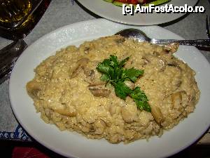 [P42] Orez cu ciuperci la o taverna de pe promenada din Nidri » foto by Muffin2009*
 - 
<span class="allrVoted glyphicon glyphicon-heart hidden" id="av441291"></span>
<a class="m-l-10 hidden" id="sv441291" onclick="voting_Foto_DelVot(,441291,8082)" role="button">șterge vot <span class="glyphicon glyphicon-remove"></span></a>
<a id="v9441291" class=" c-red"  onclick="voting_Foto_SetVot(441291)" role="button"><span class="glyphicon glyphicon-heart-empty"></span> <b>LIKE</b> = Votează poza</a> <img class="hidden"  id="f441291W9" src="/imagini/loader.gif" border="0" /><span class="AjErrMes hidden" id="e441291ErM"></span>