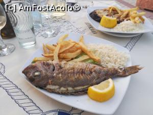 [P07] Taverna Miramare - red sneper » foto by Artiglio
 - 
<span class="allrVoted glyphicon glyphicon-heart hidden" id="av1155939"></span>
<a class="m-l-10 hidden" id="sv1155939" onclick="voting_Foto_DelVot(,1155939,8082)" role="button">șterge vot <span class="glyphicon glyphicon-remove"></span></a>
<a id="v91155939" class=" c-red"  onclick="voting_Foto_SetVot(1155939)" role="button"><span class="glyphicon glyphicon-heart-empty"></span> <b>LIKE</b> = Votează poza</a> <img class="hidden"  id="f1155939W9" src="/imagini/loader.gif" border="0" /><span class="AjErrMes hidden" id="e1155939ErM"></span>