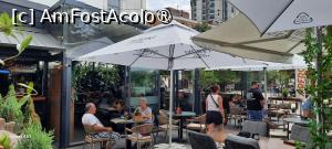 [P02] Pitești,  Bistroul-Cafenea„Bibliotheque”, Terasa destul de plină în zi de sâmbătă, la prânz » foto by mprofeanu
 - 
<span class="allrVoted glyphicon glyphicon-heart hidden" id="av1502188"></span>
<a class="m-l-10 hidden" id="sv1502188" onclick="voting_Foto_DelVot(,1502188,8103)" role="button">șterge vot <span class="glyphicon glyphicon-remove"></span></a>
<a id="v91502188" class=" c-red"  onclick="voting_Foto_SetVot(1502188)" role="button"><span class="glyphicon glyphicon-heart-empty"></span> <b>LIKE</b> = Votează poza</a> <img class="hidden"  id="f1502188W9" src="/imagini/loader.gif" border="0" /><span class="AjErrMes hidden" id="e1502188ErM"></span>