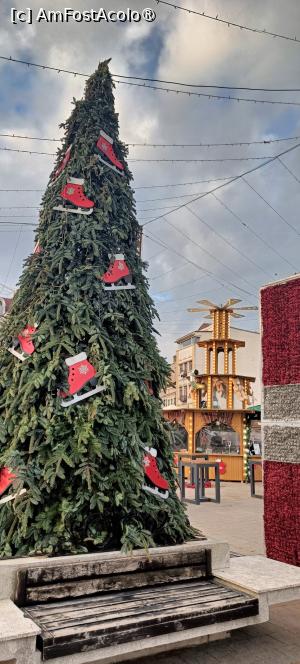 [P03] La Târgul de Crăciun din Piața Ovidiu. » foto by tata123 🔱
 - 
<span class="allrVoted glyphicon glyphicon-heart hidden" id="av1514299"></span>
<a class="m-l-10 hidden" id="sv1514299" onclick="voting_Foto_DelVot(,1514299,8127)" role="button">șterge vot <span class="glyphicon glyphicon-remove"></span></a>
<a id="v91514299" class=" c-red"  onclick="voting_Foto_SetVot(1514299)" role="button"><span class="glyphicon glyphicon-heart-empty"></span> <b>LIKE</b> = Votează poza</a> <img class="hidden"  id="f1514299W9" src="/imagini/loader.gif" border="0" /><span class="AjErrMes hidden" id="e1514299ErM"></span>