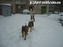 [P05] Si 1,2 ...1,2 faceti toti la fel ca noi ! In sir indian pe unde era poteca formata » foto by lavylus*
 - 
<span class="allrVoted glyphicon glyphicon-heart hidden" id="av173172"></span>
<a class="m-l-10 hidden" id="sv173172" onclick="voting_Foto_DelVot(,173172,8128)" role="button">șterge vot <span class="glyphicon glyphicon-remove"></span></a>
<a id="v9173172" class=" c-red"  onclick="voting_Foto_SetVot(173172)" role="button"><span class="glyphicon glyphicon-heart-empty"></span> <b>LIKE</b> = Votează poza</a> <img class="hidden"  id="f173172W9" src="/imagini/loader.gif" border="0" /><span class="AjErrMes hidden" id="e173172ErM"></span>