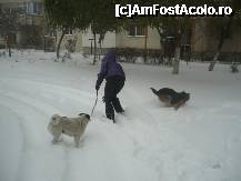 [P07] O scurta incalzire ... » foto by lavylus*
 - 
<span class="allrVoted glyphicon glyphicon-heart hidden" id="av173174"></span>
<a class="m-l-10 hidden" id="sv173174" onclick="voting_Foto_DelVot(,173174,8128)" role="button">șterge vot <span class="glyphicon glyphicon-remove"></span></a>
<a id="v9173174" class=" c-red"  onclick="voting_Foto_SetVot(173174)" role="button"><span class="glyphicon glyphicon-heart-empty"></span> <b>LIKE</b> = Votează poza</a> <img class="hidden"  id="f173174W9" src="/imagini/loader.gif" border="0" /><span class="AjErrMes hidden" id="e173174ErM"></span>