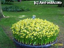 [P45] Olanda - Parcul Keukenhof » foto by popescu.borsa*
 - 
<span class="allrVoted glyphicon glyphicon-heart hidden" id="av195057"></span>
<a class="m-l-10 hidden" id="sv195057" onclick="voting_Foto_DelVot(,195057,8128)" role="button">șterge vot <span class="glyphicon glyphicon-remove"></span></a>
<a id="v9195057" class=" c-red"  onclick="voting_Foto_SetVot(195057)" role="button"><span class="glyphicon glyphicon-heart-empty"></span> <b>LIKE</b> = Votează poza</a> <img class="hidden"  id="f195057W9" src="/imagini/loader.gif" border="0" /><span class="AjErrMes hidden" id="e195057ErM"></span>