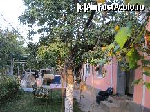 [P12] Parul batran sub care-am stat
Si la vioara am cantat » foto by bog68
 - 
<span class="allrVoted glyphicon glyphicon-heart hidden" id="av300329"></span>
<a class="m-l-10 hidden" id="sv300329" onclick="voting_Foto_DelVot(,300329,8128)" role="button">șterge vot <span class="glyphicon glyphicon-remove"></span></a>
<a id="v9300329" class=" c-red"  onclick="voting_Foto_SetVot(300329)" role="button"><span class="glyphicon glyphicon-heart-empty"></span> <b>LIKE</b> = Votează poza</a> <img class="hidden"  id="f300329W9" src="/imagini/loader.gif" border="0" /><span class="AjErrMes hidden" id="e300329ErM"></span>