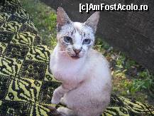 [P23] ochi albastri ca ai mei
fura inima inima oricui » foto by bog68
 - 
<span class="allrVoted glyphicon glyphicon-heart hidden" id="av300352"></span>
<a class="m-l-10 hidden" id="sv300352" onclick="voting_Foto_DelVot(,300352,8128)" role="button">șterge vot <span class="glyphicon glyphicon-remove"></span></a>
<a id="v9300352" class=" c-red"  onclick="voting_Foto_SetVot(300352)" role="button"><span class="glyphicon glyphicon-heart-empty"></span> <b>LIKE</b> = Votează poza</a> <img class="hidden"  id="f300352W9" src="/imagini/loader.gif" border="0" /><span class="AjErrMes hidden" id="e300352ErM"></span>