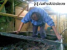 [P29] Incet, incet, precum facea bunicul... » foto by bog68
 - 
<span class="allrVoted glyphicon glyphicon-heart hidden" id="av300436"></span>
<a class="m-l-10 hidden" id="sv300436" onclick="voting_Foto_DelVot(,300436,8128)" role="button">șterge vot <span class="glyphicon glyphicon-remove"></span></a>
<a id="v9300436" class=" c-red"  onclick="voting_Foto_SetVot(300436)" role="button"><span class="glyphicon glyphicon-heart-empty"></span> <b>LIKE</b> = Votează poza</a> <img class="hidden"  id="f300436W9" src="/imagini/loader.gif" border="0" /><span class="AjErrMes hidden" id="e300436ErM"></span>