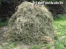 [P30] ,,In fanul de curand cosit...,, » foto by bog68
 - 
<span class="allrVoted glyphicon glyphicon-heart hidden" id="av300437"></span>
<a class="m-l-10 hidden" id="sv300437" onclick="voting_Foto_DelVot(,300437,8128)" role="button">șterge vot <span class="glyphicon glyphicon-remove"></span></a>
<a id="v9300437" class=" c-red"  onclick="voting_Foto_SetVot(300437)" role="button"><span class="glyphicon glyphicon-heart-empty"></span> <b>LIKE</b> = Votează poza</a> <img class="hidden"  id="f300437W9" src="/imagini/loader.gif" border="0" /><span class="AjErrMes hidden" id="e300437ErM"></span>