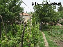 [P31] Gradina de la tara » foto by bog68
 - 
<span class="allrVoted glyphicon glyphicon-heart hidden" id="av300438"></span>
<a class="m-l-10 hidden" id="sv300438" onclick="voting_Foto_DelVot(,300438,8128)" role="button">șterge vot <span class="glyphicon glyphicon-remove"></span></a>
<a id="v9300438" class=" c-red"  onclick="voting_Foto_SetVot(300438)" role="button"><span class="glyphicon glyphicon-heart-empty"></span> <b>LIKE</b> = Votează poza</a> <img class="hidden"  id="f300438W9" src="/imagini/loader.gif" border="0" /><span class="AjErrMes hidden" id="e300438ErM"></span>