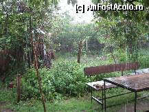 [P32] Ploaie calda de vara » foto by bog68
 - 
<span class="allrVoted glyphicon glyphicon-heart hidden" id="av300439"></span>
<a class="m-l-10 hidden" id="sv300439" onclick="voting_Foto_DelVot(,300439,8128)" role="button">șterge vot <span class="glyphicon glyphicon-remove"></span></a>
<a id="v9300439" class=" c-red"  onclick="voting_Foto_SetVot(300439)" role="button"><span class="glyphicon glyphicon-heart-empty"></span> <b>LIKE</b> = Votează poza</a> <img class="hidden"  id="f300439W9" src="/imagini/loader.gif" border="0" /><span class="AjErrMes hidden" id="e300439ErM"></span>