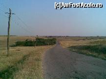 [P04] In secolul 21. Inca stalpi de telegraf din lemn » foto by bog68
 - 
<span class="allrVoted glyphicon glyphicon-heart hidden" id="av300304"></span>
<a class="m-l-10 hidden" id="sv300304" onclick="voting_Foto_DelVot(,300304,8128)" role="button">șterge vot <span class="glyphicon glyphicon-remove"></span></a>
<a id="v9300304" class=" c-red"  onclick="voting_Foto_SetVot(300304)" role="button"><span class="glyphicon glyphicon-heart-empty"></span> <b>LIKE</b> = Votează poza</a> <img class="hidden"  id="f300304W9" src="/imagini/loader.gif" border="0" /><span class="AjErrMes hidden" id="e300304ErM"></span>