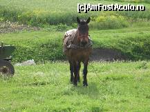 [P07] Incotr-o drumete? » foto by bog68
 - 
<span class="allrVoted glyphicon glyphicon-heart hidden" id="av300312"></span>
<a class="m-l-10 hidden" id="sv300312" onclick="voting_Foto_DelVot(,300312,8128)" role="button">șterge vot <span class="glyphicon glyphicon-remove"></span></a>
<a id="v9300312" class=" c-red"  onclick="voting_Foto_SetVot(300312)" role="button"><span class="glyphicon glyphicon-heart-empty"></span> <b>LIKE</b> = Votează poza</a> <img class="hidden"  id="f300312W9" src="/imagini/loader.gif" border="0" /><span class="AjErrMes hidden" id="e300312ErM"></span>