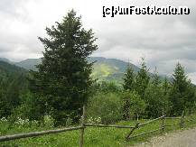 [P03] Și mă dor ochii mă dor,
De verdeața brazilor... » foto by bog68
 - 
<span class="allrVoted glyphicon glyphicon-heart hidden" id="av325882"></span>
<a class="m-l-10 hidden" id="sv325882" onclick="voting_Foto_DelVot(,325882,8128)" role="button">șterge vot <span class="glyphicon glyphicon-remove"></span></a>
<a id="v9325882" class=" c-red"  onclick="voting_Foto_SetVot(325882)" role="button"><span class="glyphicon glyphicon-heart-empty"></span> <b>LIKE</b> = Votează poza</a> <img class="hidden"  id="f325882W9" src="/imagini/loader.gif" border="0" /><span class="AjErrMes hidden" id="e325882ErM"></span>