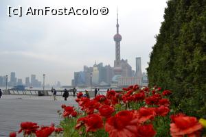 [P05]  -- <small>// FĂRĂ DESCRIERE</small> » foto by AZE
 - 
<span class="allrVoted glyphicon glyphicon-heart hidden" id="av1051706"></span>
<a class="m-l-10 hidden" id="sv1051706" onclick="voting_Foto_DelVot(,1051706,8128)" role="button">șterge vot <span class="glyphicon glyphicon-remove"></span></a>
<a id="v91051706" class=" c-red"  onclick="voting_Foto_SetVot(1051706)" role="button"><span class="glyphicon glyphicon-heart-empty"></span> <b>LIKE</b> = Votează poza</a> <img class="hidden"  id="f1051706W9" src="/imagini/loader.gif" border="0" /><span class="AjErrMes hidden" id="e1051706ErM"></span>