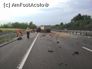 [P13]  -- <small>// FĂRĂ DESCRIERE</small> » foto by AZE <span class="label label-default labelC_thin small">NEVOTABILĂ</span>