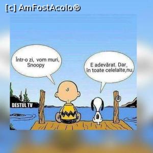 [P02] Ăsta e cel mai mare adevăr » foto by Yersinia Pestis
 - 
<span class="allrVoted glyphicon glyphicon-heart hidden" id="av1254705"></span>
<a class="m-l-10 hidden" id="sv1254705" onclick="voting_Foto_DelVot(,1254705,8128)" role="button">șterge vot <span class="glyphicon glyphicon-remove"></span></a>
<a id="v91254705" class=" c-red"  onclick="voting_Foto_SetVot(1254705)" role="button"><span class="glyphicon glyphicon-heart-empty"></span> <b>LIKE</b> = Votează poza</a> <img class="hidden"  id="f1254705W9" src="/imagini/loader.gif" border="0" /><span class="AjErrMes hidden" id="e1254705ErM"></span>