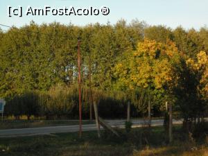 [P10] Tablou de toamnă. Alte culori.  » foto by Zoazore
 - 
<span class="allrVoted glyphicon glyphicon-heart hidden" id="av913271"></span>
<a class="m-l-10 hidden" id="sv913271" onclick="voting_Foto_DelVot(,913271,8128)" role="button">șterge vot <span class="glyphicon glyphicon-remove"></span></a>
<a id="v9913271" class=" c-red"  onclick="voting_Foto_SetVot(913271)" role="button"><span class="glyphicon glyphicon-heart-empty"></span> <b>LIKE</b> = Votează poza</a> <img class="hidden"  id="f913271W9" src="/imagini/loader.gif" border="0" /><span class="AjErrMes hidden" id="e913271ErM"></span>