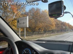 [P12] Tablou de toamnă din goana mașinii » foto by Zoazore
 - 
<span class="allrVoted glyphicon glyphicon-heart hidden" id="av913274"></span>
<a class="m-l-10 hidden" id="sv913274" onclick="voting_Foto_DelVot(,913274,8128)" role="button">șterge vot <span class="glyphicon glyphicon-remove"></span></a>
<a id="v9913274" class=" c-red"  onclick="voting_Foto_SetVot(913274)" role="button"><span class="glyphicon glyphicon-heart-empty"></span> <b>LIKE</b> = Votează poza</a> <img class="hidden"  id="f913274W9" src="/imagini/loader.gif" border="0" /><span class="AjErrMes hidden" id="e913274ErM"></span>