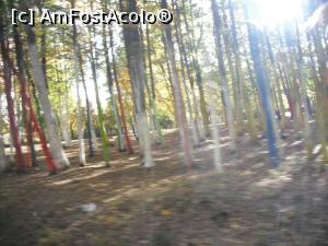 [P16] Din alt unghi » foto by Zoazore
 - 
<span class="allrVoted glyphicon glyphicon-heart hidden" id="av913281"></span>
<a class="m-l-10 hidden" id="sv913281" onclick="voting_Foto_DelVot(,913281,8128)" role="button">șterge vot <span class="glyphicon glyphicon-remove"></span></a>
<a id="v9913281" class=" c-red"  onclick="voting_Foto_SetVot(913281)" role="button"><span class="glyphicon glyphicon-heart-empty"></span> <b>LIKE</b> = Votează poza</a> <img class="hidden"  id="f913281W9" src="/imagini/loader.gif" border="0" /><span class="AjErrMes hidden" id="e913281ErM"></span>